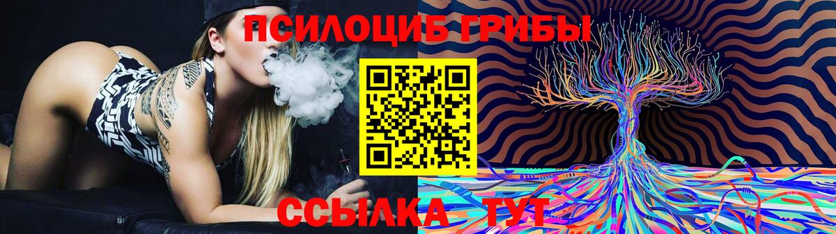Псилоцибиновые грибы мухоморы Камышлов